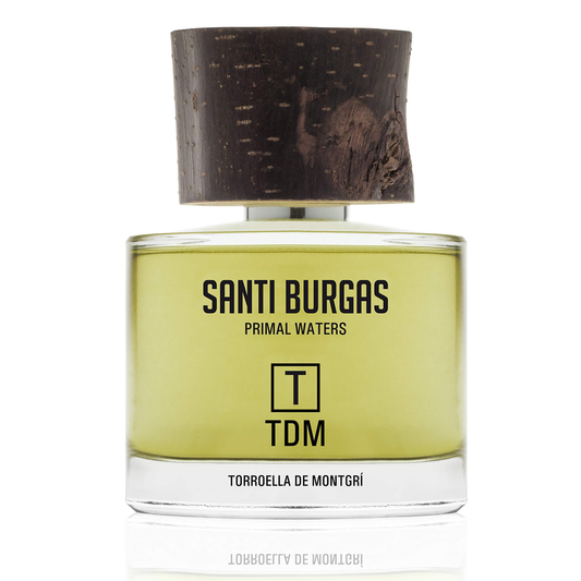T TDM  TORROELLA DE MONTGRÍ
